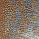 Illustration for article titled The Empty Quarter Is The Largest Sand Sea On The Planet